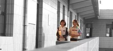 红谷滩盗窃学生爆料视频,视频揭露惊人真相  第3张